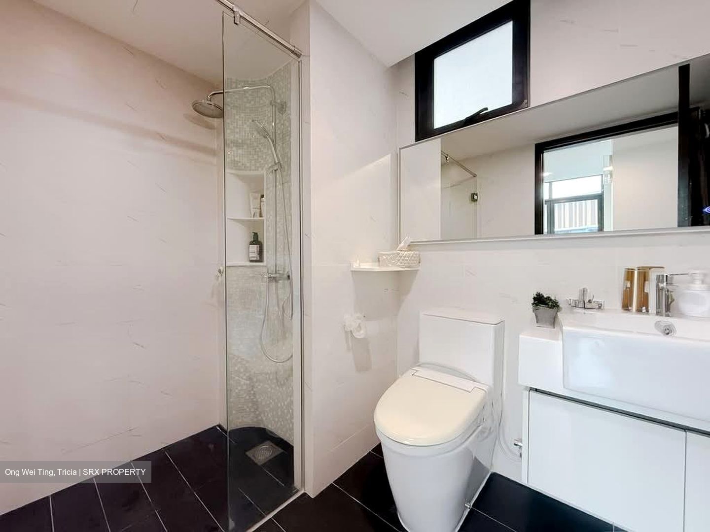 Symphony Suites (D27), Condominium #544976281